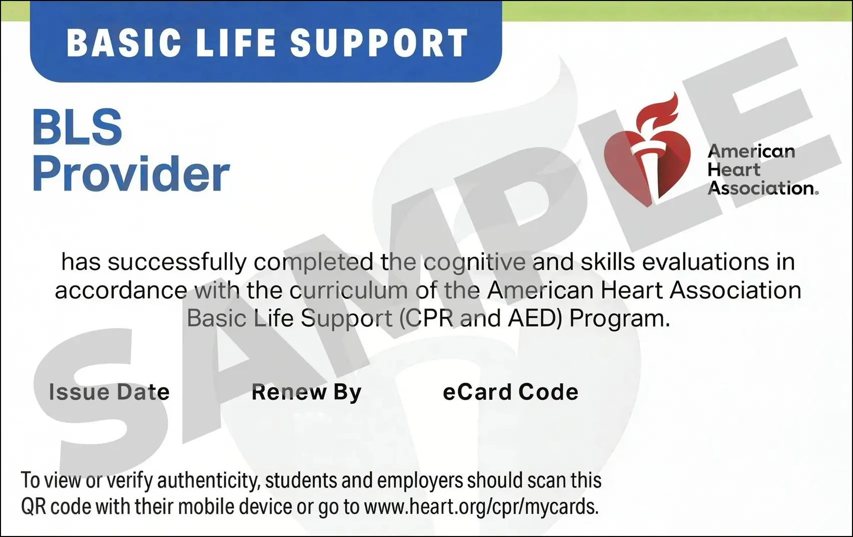 Sample American Heart Association AHA BLS CPR Card Certification from CPR Certification Toledo